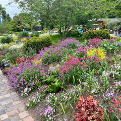 23-05-16 14-49-45 5412